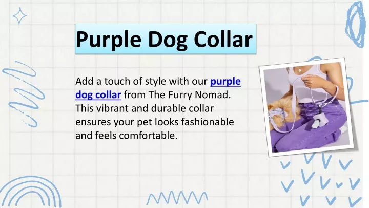 purple dog collar