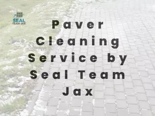 Professional Paver Cleaning Service by Seal Team Jax