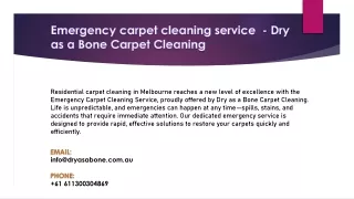 emergency carpet cleaning service dry as a bone carpet cleaning