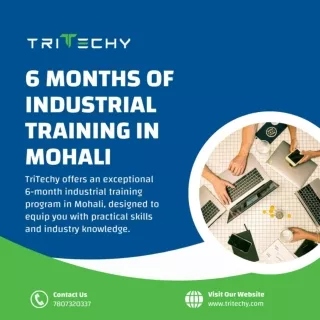 6 Months Of Industrial Training In Mohali