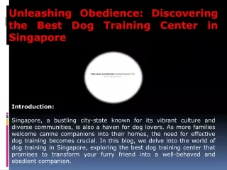 Dog Training Center in Singapore