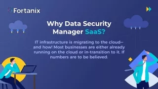 Why data security manager SaaS?