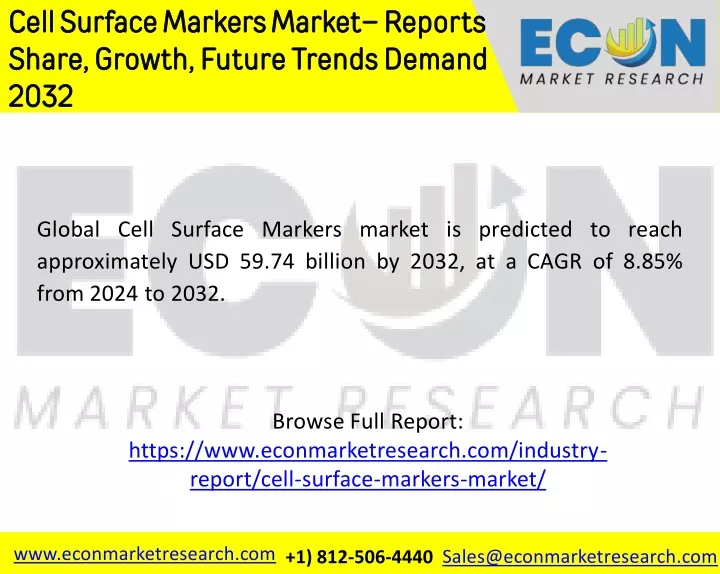 cell surface markers market reports share growth