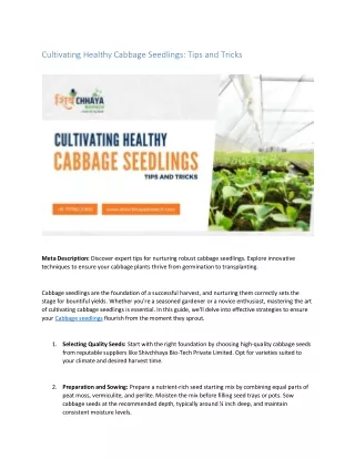 Cultivating Healthy Cabbage Seedlings: Tips and Tricks