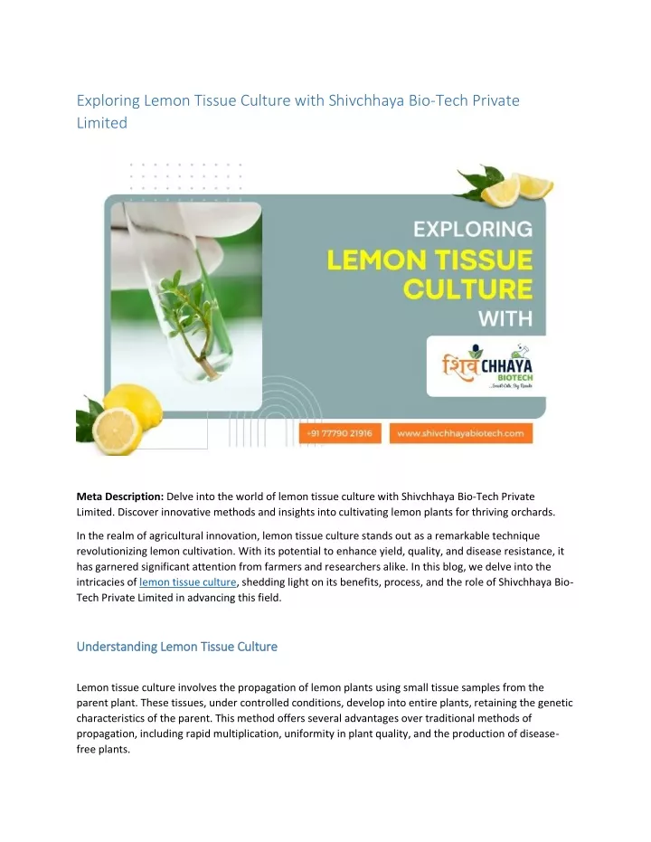 exploring lemon tissue culture with shivchhaya