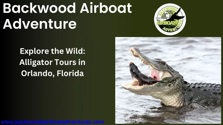 backwood airboat adventure