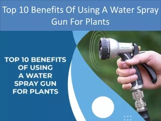 Top 10 Benefits Of Using A Water Spray Gun For Plants