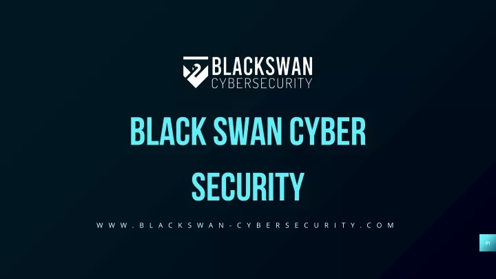 black swan cyber security