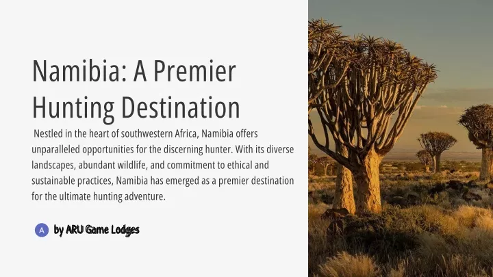 namibia a premier hunting destination nestled