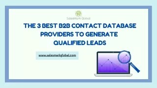 the 3 best b2b contact database providers