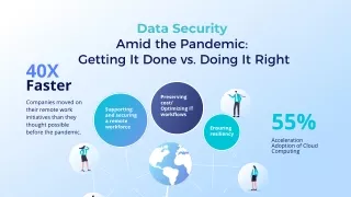 Amid the Pandemic