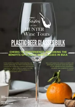 Cheers to Convenience -Exploring the Benefits of Plastic Beer Glasses in Bulk