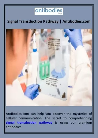 Signal Transduction Pathway  Antibodies.com