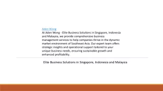 aden wong at aden wong elite business solutions