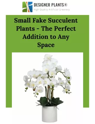 Small Fake Succulent Plants - The Perfect Addition to Any Space