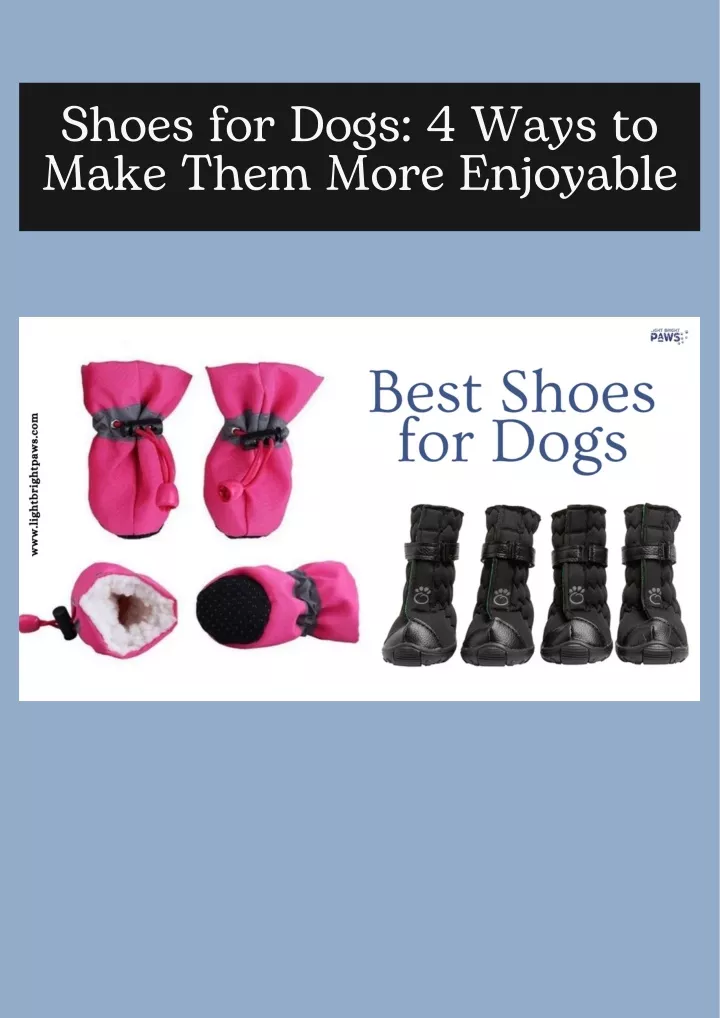 shoes for dogs 4 ways to make them more enjoyable