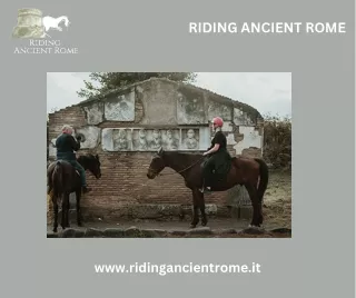 Horseback Adventures: Experience the Joy of Riding