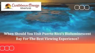 When Should You Visit Puerto Rico's Bioluminescent Bay For The Best Viewing Experience