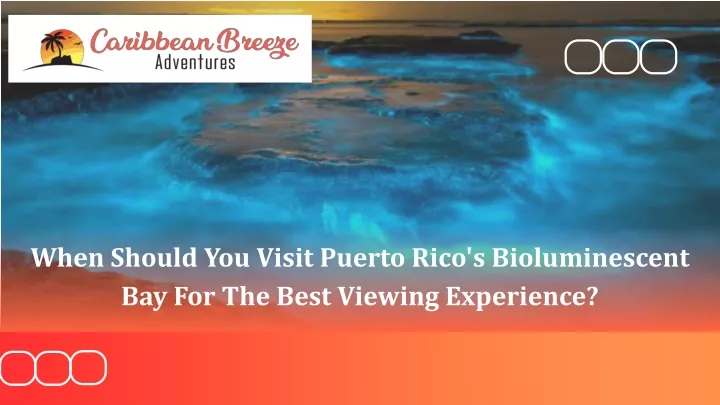 when should you visit puerto rico