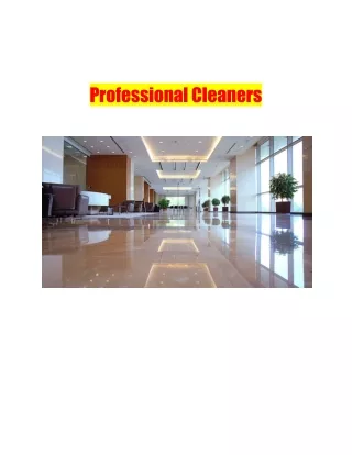 Professional Cleaners