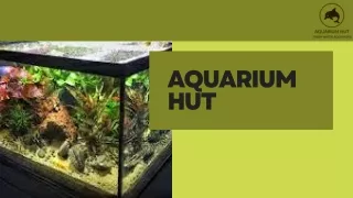 AquariuM Hut - Frozen Fish Food In Australia