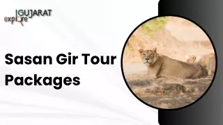 Sasan Gir Tour Packages