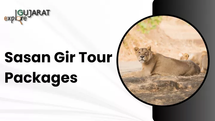 sasan gir tour packages