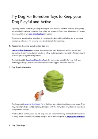 Try Dog For Boredom Toys to Keep your Dog Playful and Active