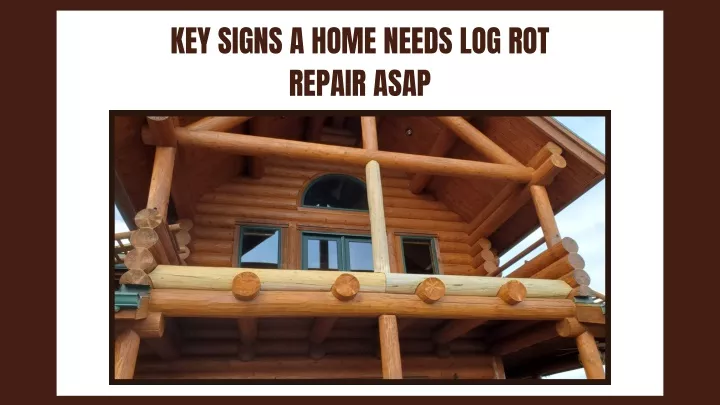 key signs a home needs log rot repair asap