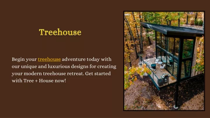 begin your treehouse our unique and luxurious