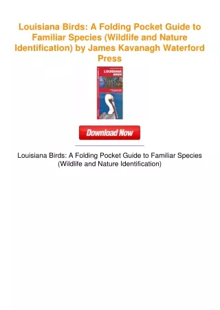 Louisiana Birds: A Folding Pocket Guide to Familiar Species (Wildlife and