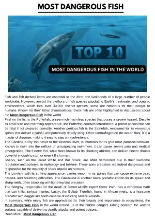 Most Dangerous Fish 111111111111111111111111111111111111111111111111111111111111