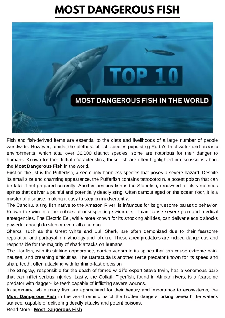 PPT - Most Dangerous Fish ...