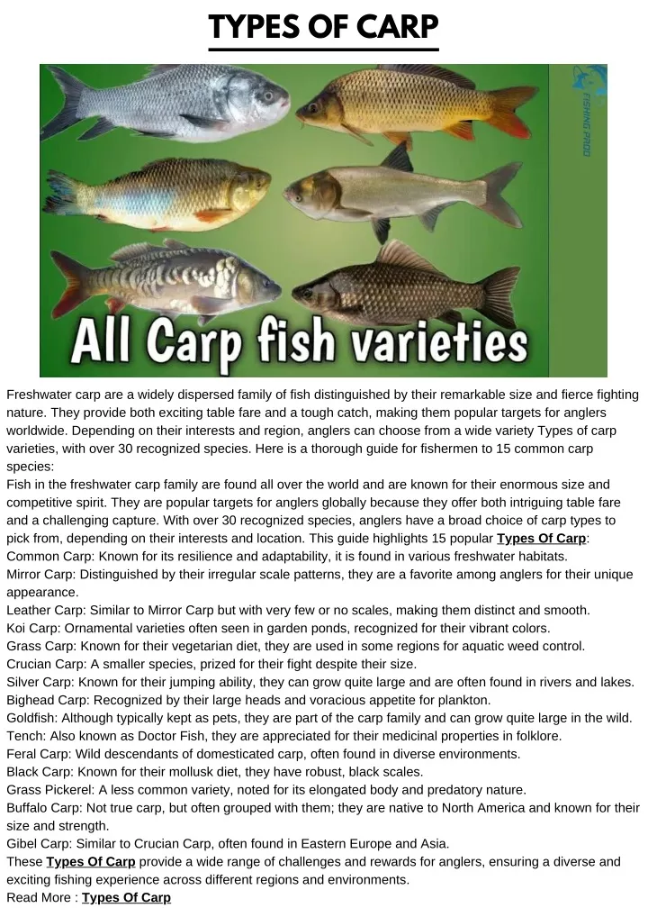 types of carp