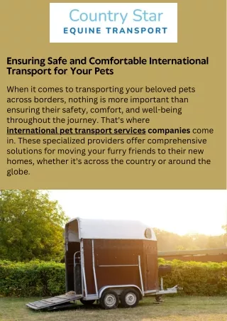 The Importance of International Pet Transport Services