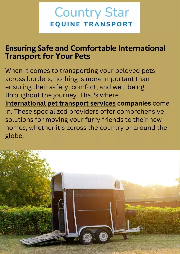 ensuring safe and comfortable international