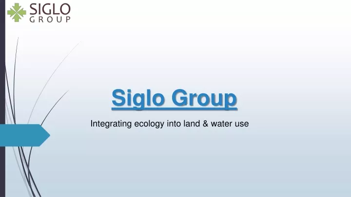 siglo group