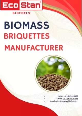 Biomass Briquettes Manufacturer: Sustainable Fuel Solutions