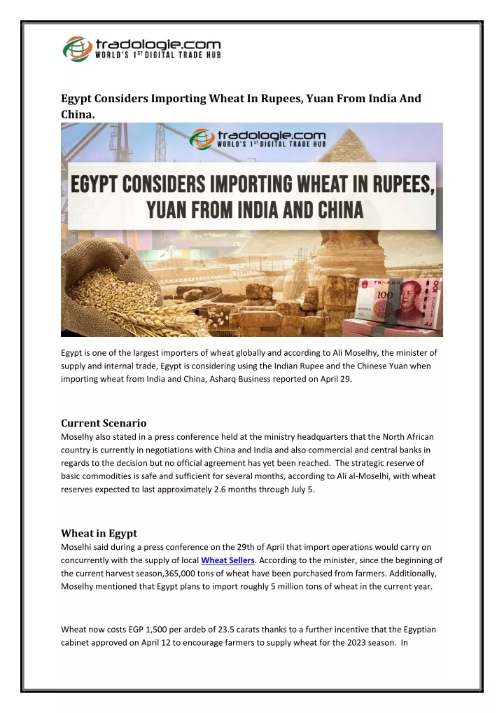 egypt considers importing wheat in rupees yuan