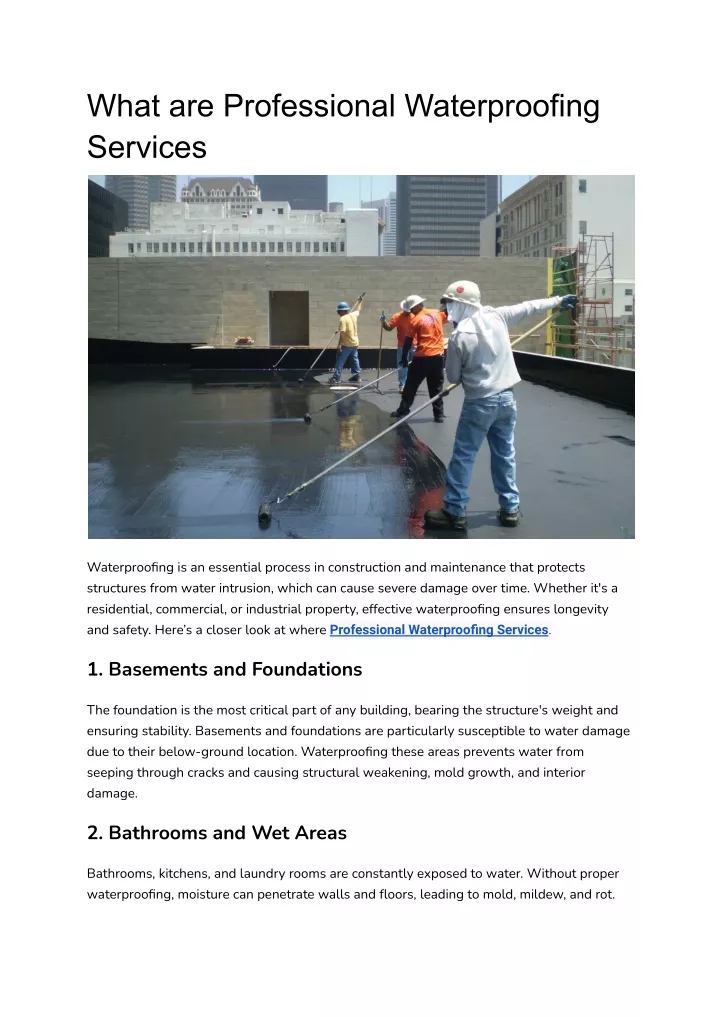 what are professional waterproofing services