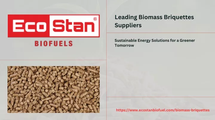 leading biomass briquettes suppliers