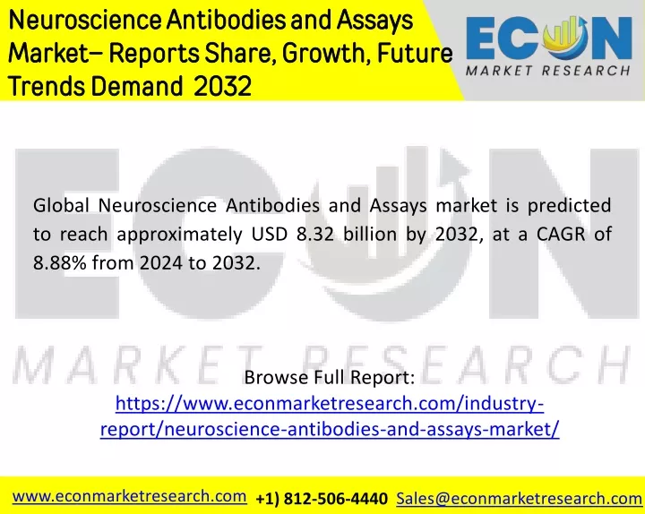 neuroscience antibodies and assays market reports