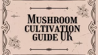 Mushroom cultivation guide UK