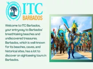 Island Adventure Tour Barbados