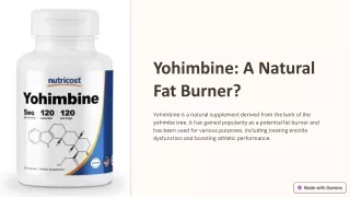 Yohimbin Fatburner Kaufen | Fatburner-1