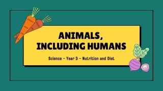 animals including humans
