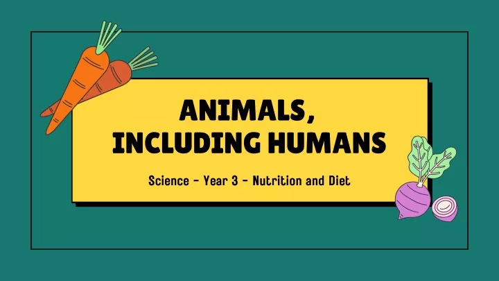 animals including humans