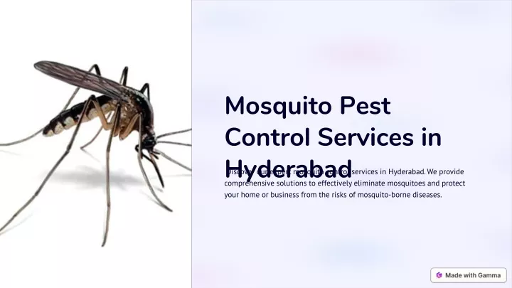 mosquito pest control services in hyderabad