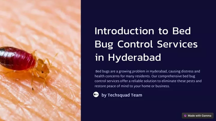 introduction to bed bug control services