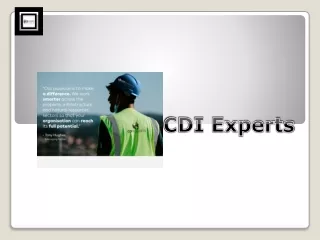 CDI Experts Leading Construction Consulting Services Provider